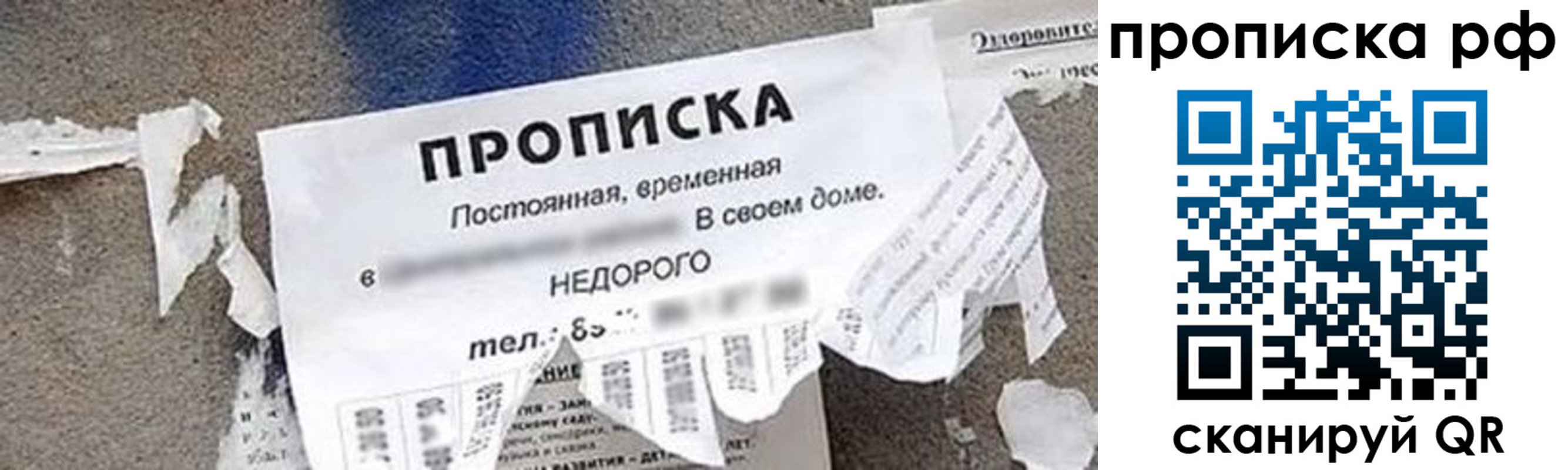 где прописаться в Зеленоградске